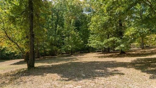 250 Contreau Ln, Counce, TN 38326