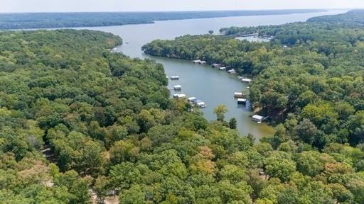250 Contreau Ln, Counce, TN 38326