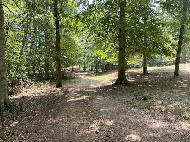 250 Contreau Ln, Counce, TN 38326