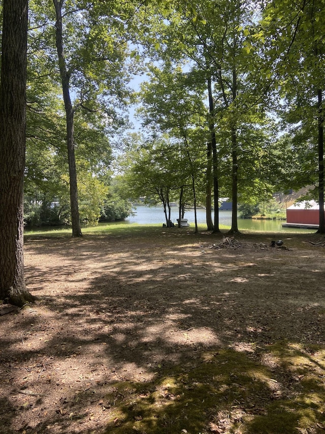 250 Contreau Ln, Counce, TN 38326