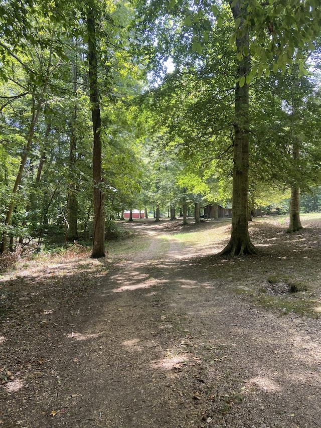 250 Contreau Ln, Counce, TN 38326
