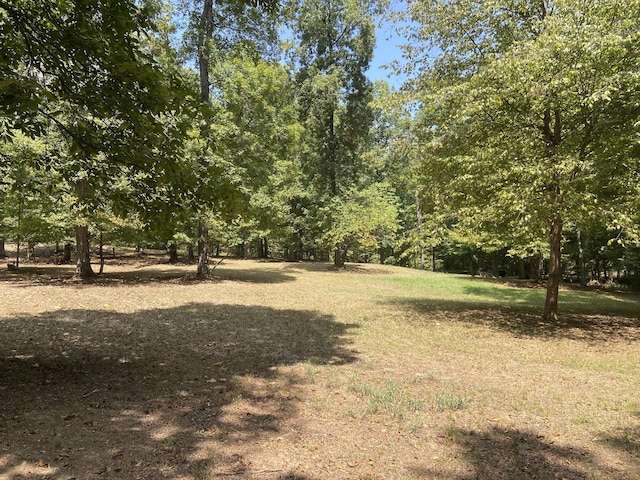 250 Contreau Ln, Counce, TN 38326