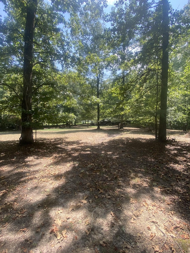 250 Contreau Ln, Counce, TN 38326