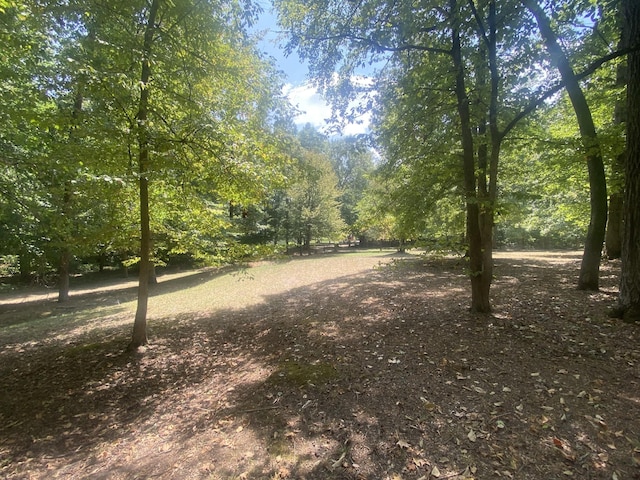 250 Contreau Ln, Counce, TN 38326