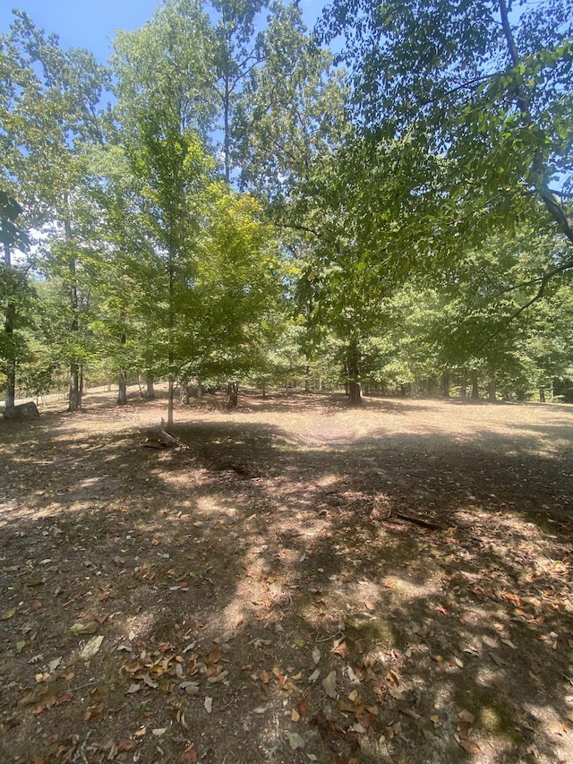 250 Contreau Ln, Counce, TN 38326