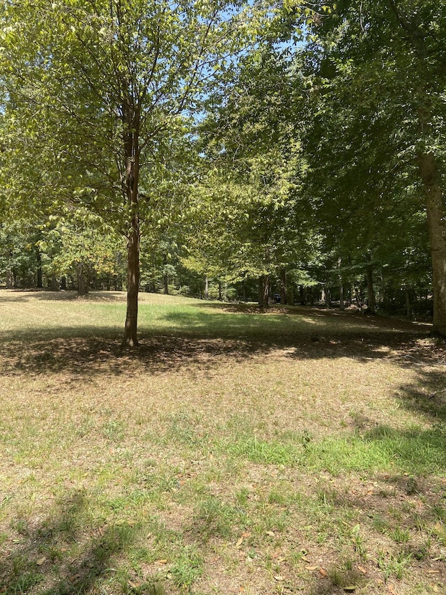 250 Contreau Ln, Counce, TN 38326