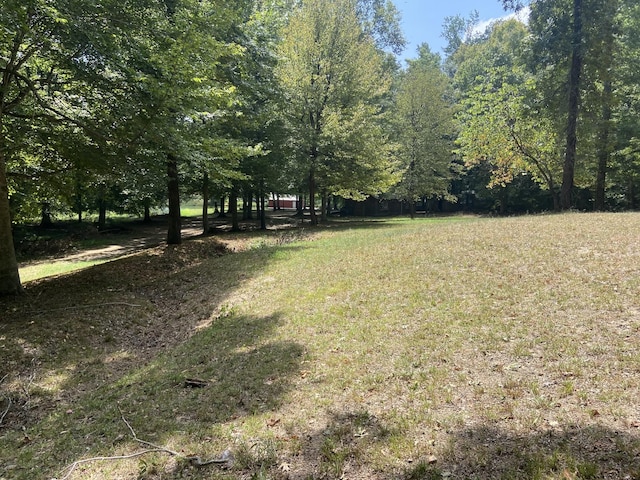 250 Contreau Ln, Counce, TN 38326