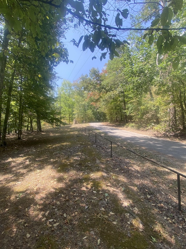 250 Contreau Ln, Counce, TN 38326