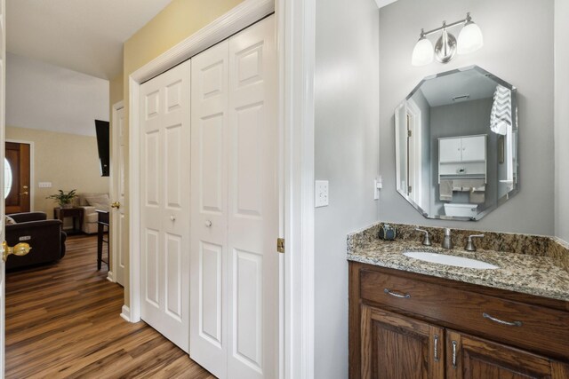 2917 York Rd, Pleasant View, TN 37146 - bathroom with vanity, wood finished floors, and a closet