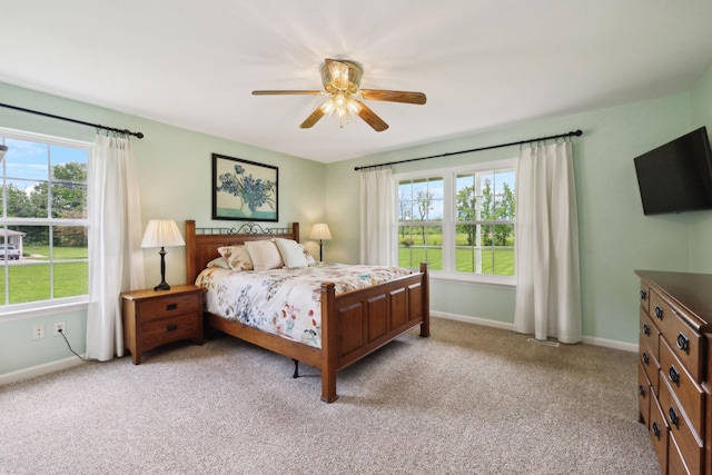 2917 York Rd, Pleasant View, TN 37146 - bedroom featuring multiple windows, light carpet, and baseboards