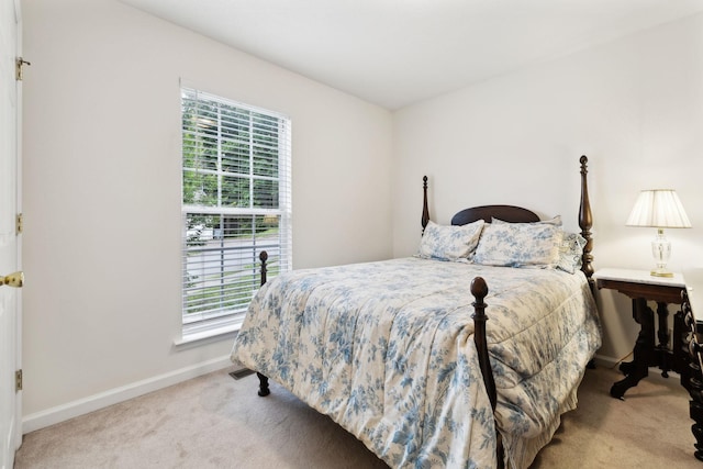 117 Township Ct, Hendersonville, TN 37075 - photo 12