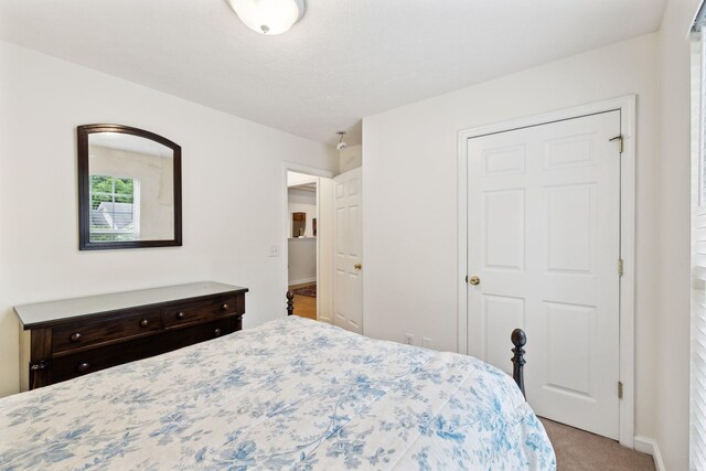 117 Township Ct, Hendersonville, TN 37075 - photo 13