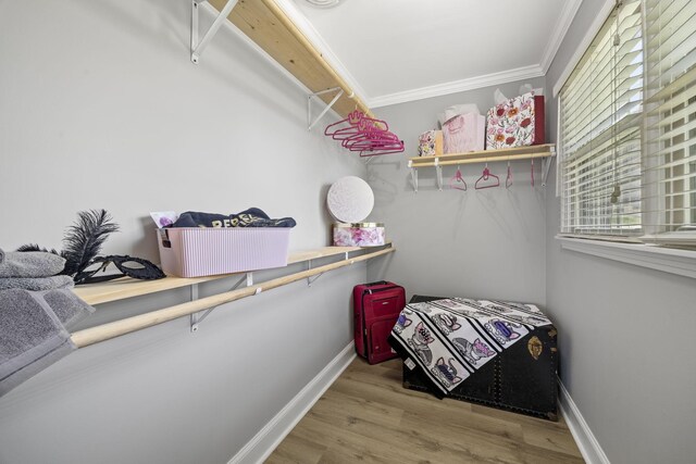 255 Whispering Hills Dr, Dover, TN 37058 - spacious closet featuring wood finished floors