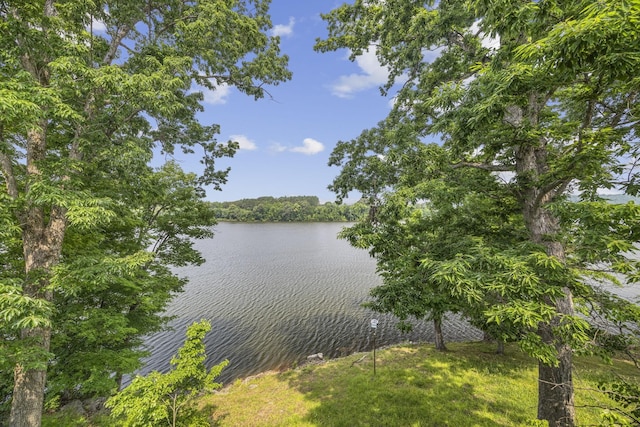 255 Whispering Hills Dr, Dover, TN 37058 - water view