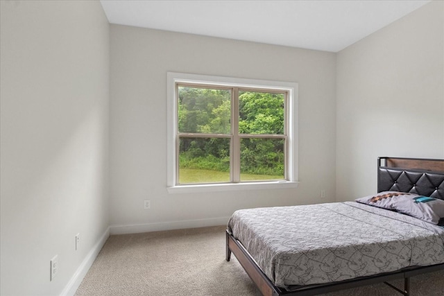 185 Hillside Cove Ln, Woodbury, TN 37190 - photo 35