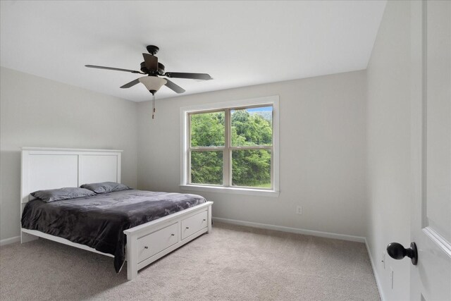 185 Hillside Cove Ln, Woodbury, TN 37190 - photo 40
