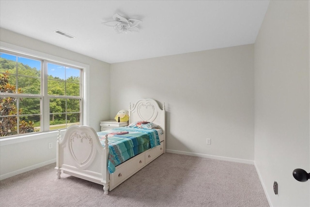 185 Hillside Cove Ln, Woodbury, TN 37190 - photo 39