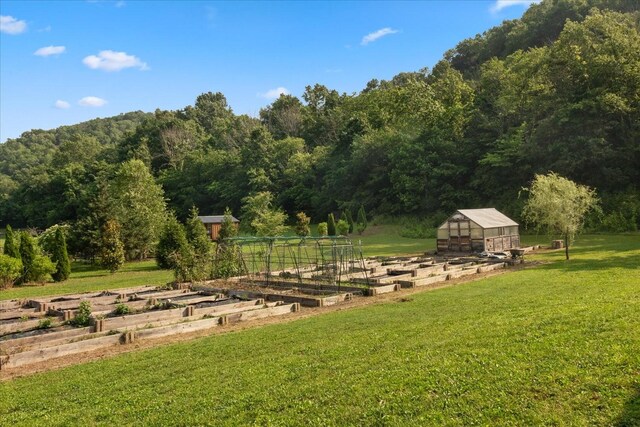 185 Hillside Cove Ln, Woodbury, TN 37190 - photo 53