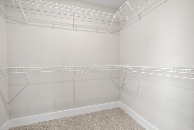 1521 Collins View Way, Clarksville, TN 37043 - photo 20