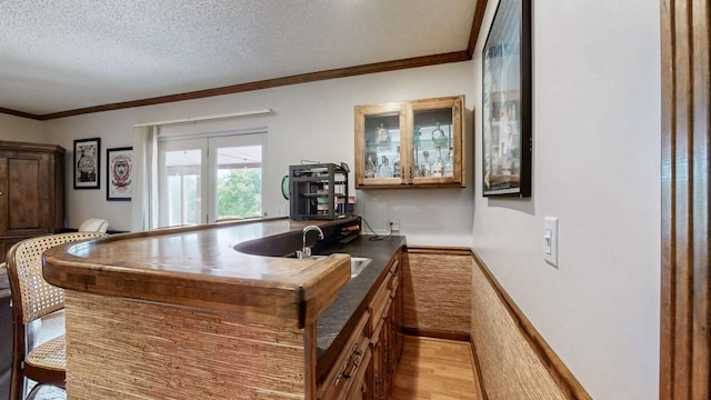 305 Rolling Mill Rd, Old Hickory, TN 37138 - bar with a sink, ornamental molding, light wood-style flooring, and a textured ceiling