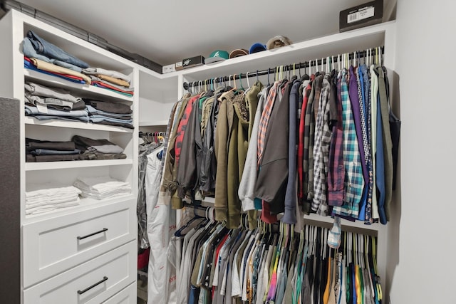 2648 Wilson Overall Rd, Murfreesboro, TN 37127 - view of walk in closet