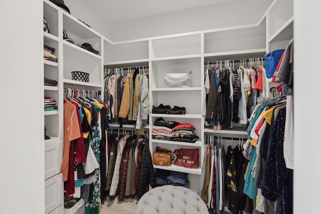 2648 Wilson Overall Rd, Murfreesboro, TN 37127 - view of walk in closet