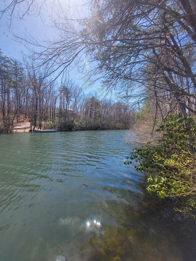 0 Rhonda Rd, Monterey, TN 38574 - photo 9