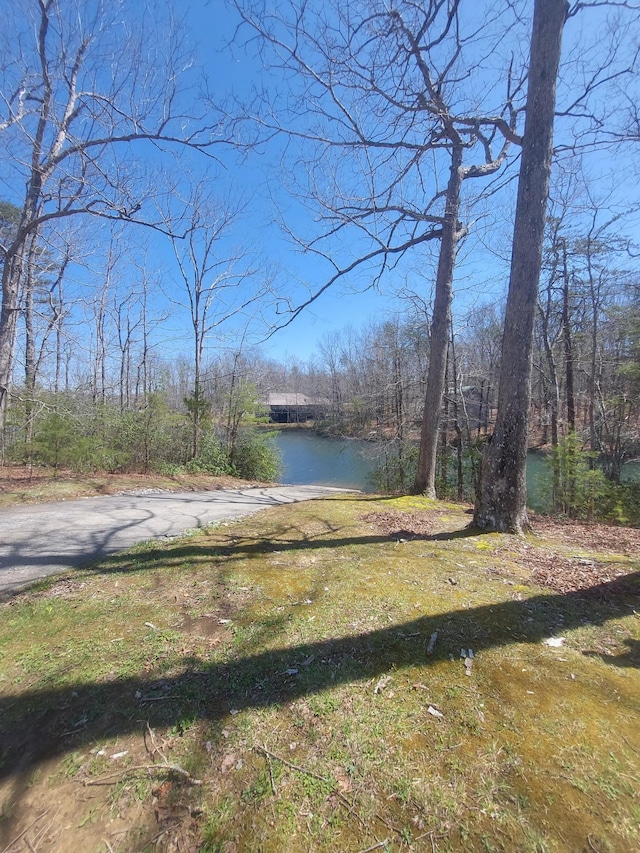 0 Rhonda Rd, Monterey, TN 38574 - photo 6