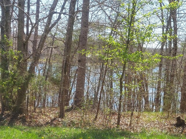 0 Rhonda Rd, Monterey, TN 38574 - photo 12