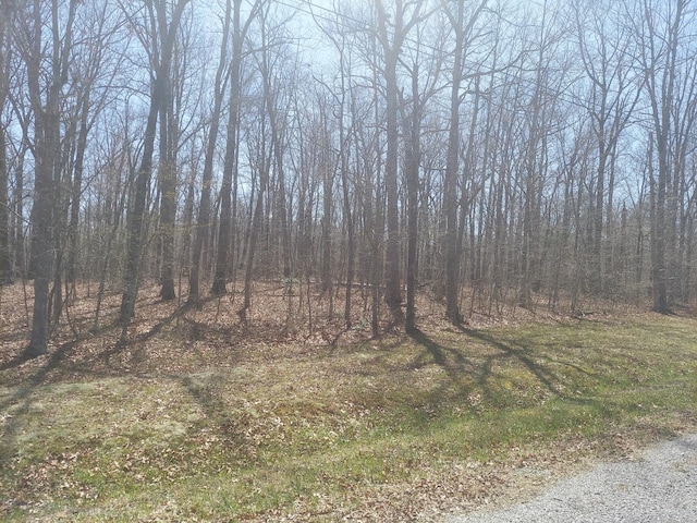 0 Rhonda Rd, Monterey, TN 38574 - photo 1