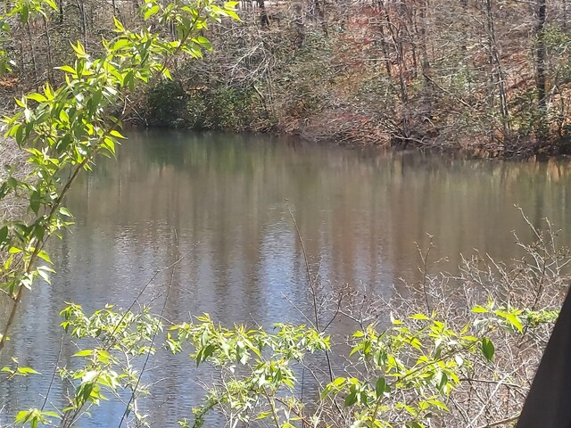 0 Rhonda Rd, Monterey, TN 38574 - photo 5