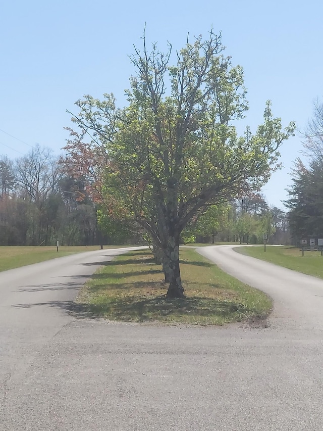 0 Rhonda Rd, Monterey, TN 38574 - photo 17