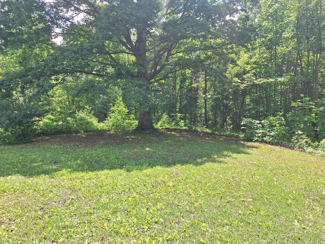 151 Dogwood Ln, Leoma, TN 38468 - photo 28
