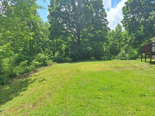 151 Dogwood Ln, Leoma, TN 38468 - photo 29