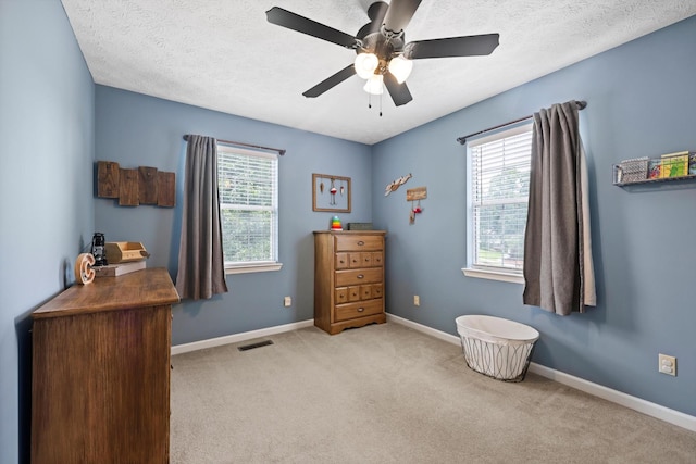 152 Scenic Cir, Ringgold, GA 30736 - carpeted bedroom with multiple windows, baseboards, ceiling fan, and a textured ceiling