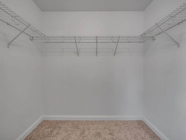 53 Ellington Ter, Clarksville, TN 37040 - photo 20