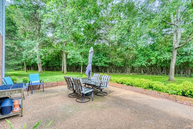 121 E Ervin Dr, Hendersonville, TN 37075 - photo 33