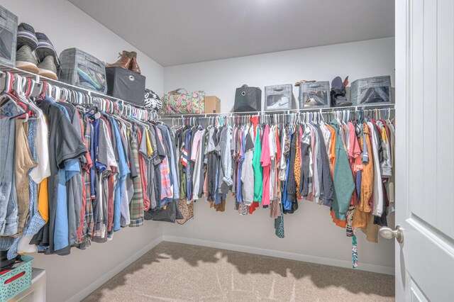 336 Ryan Rd, Chapel Hill, TN 37034 - spacious closet featuring carpet flooring