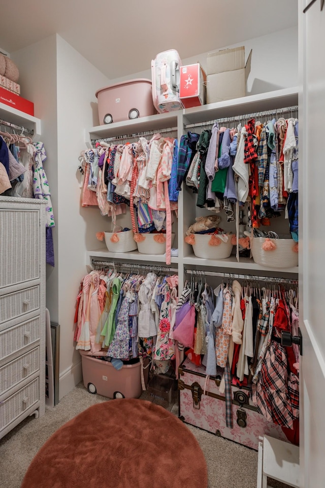 2026 Eliot Rd, Franklin, TN 37064 - spacious closet featuring carpet flooring