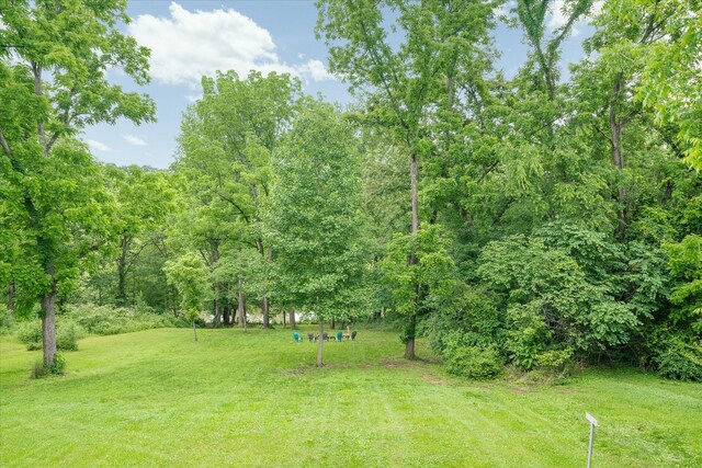 132 W Bronson St, Sparta, TN 38583 - photo 32