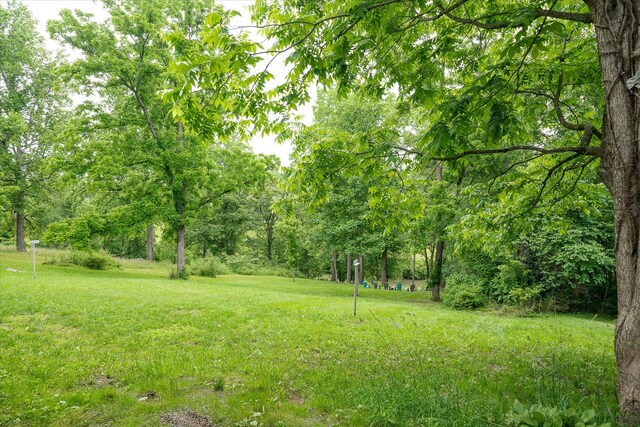 132 W Bronson St, Sparta, TN 38583 - photo 30