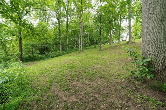 132 W Bronson St, Sparta, TN 38583 - photo 20