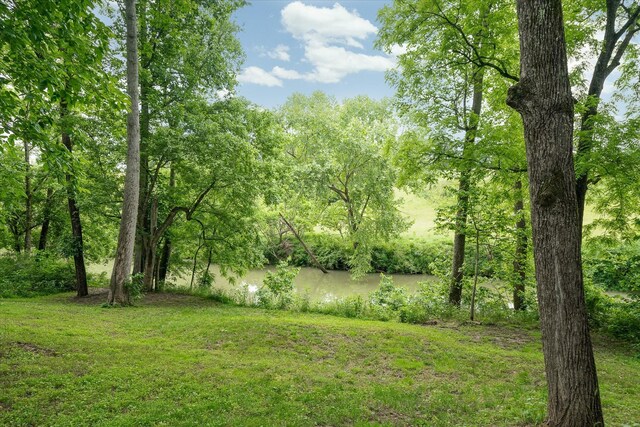 132 W Bronson St, Sparta, TN 38583 - photo 4