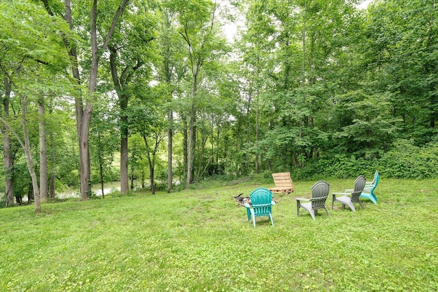132 W Bronson St, Sparta, TN 38583 - photo 33