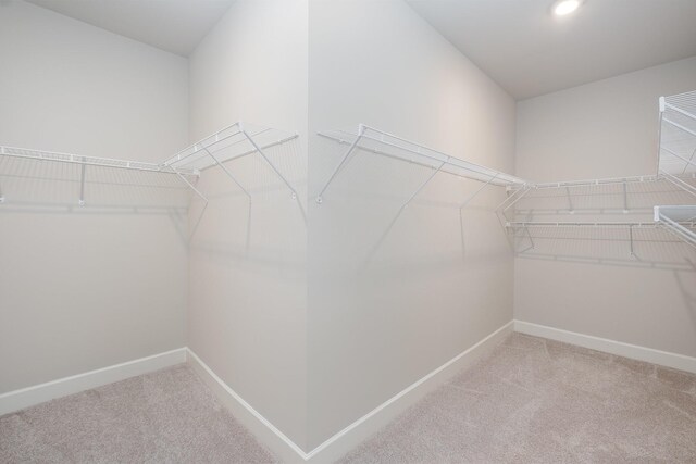 6004 Tivoli Trl, Mount Juliet, TN 37122 - photo 21