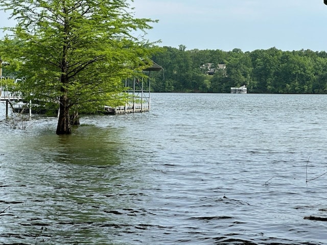 117 Sparrow Ln, Dover, TN 37058 - water view with a heavily wooded area