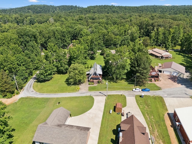 117 Sparrow Ln, Dover, TN 37058 - aerial view of a forest