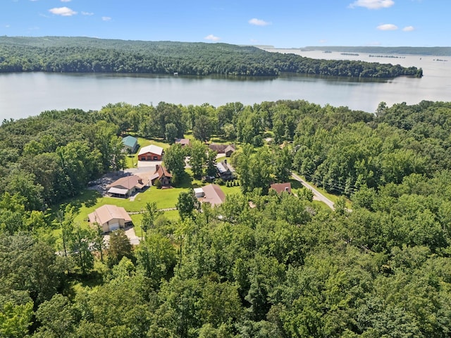 117 Sparrow Ln, Dover, TN 37058 - bird's eye view of a nearby body of water
