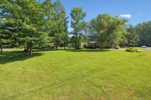 117 Sparrow Ln, Dover, TN 37058 - view of grassy yard