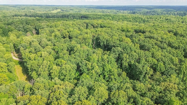 7872 Oscar Green Rd, Primm Springs, TN 38476 - drone / aerial view of a forest